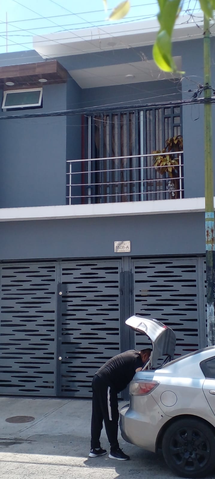 Trabajos de herrería: portones y rejas